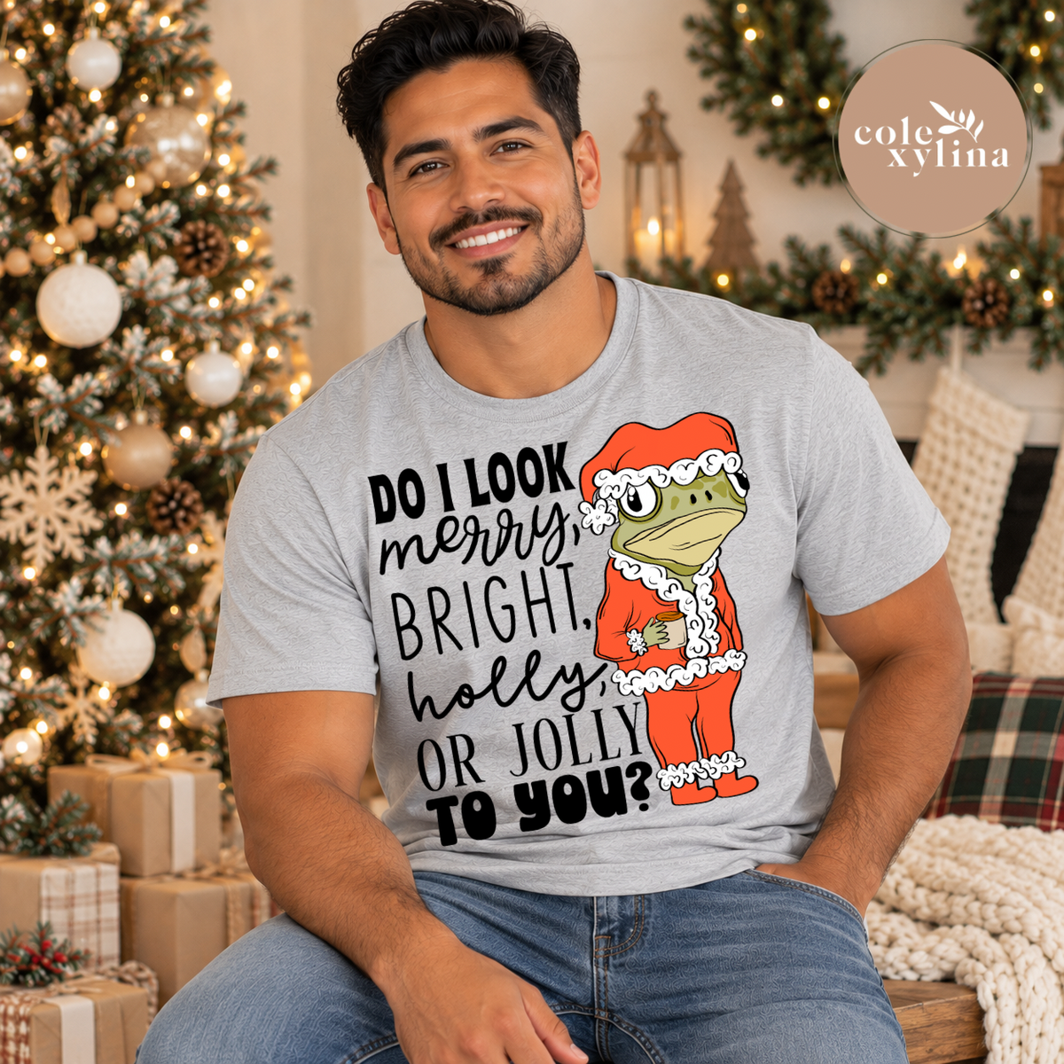 DO I LOOK MERRY, BRIGHT, HOLLY OR JOLLY TO YOU? BLACK SOLID - DTF TRANSFER