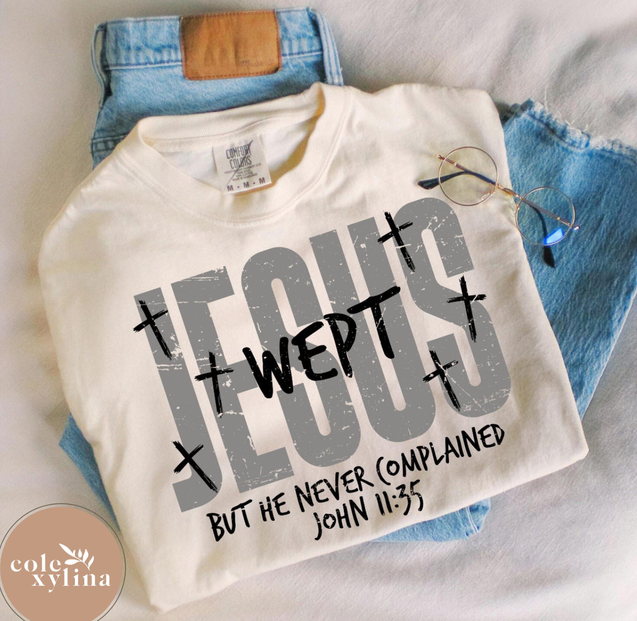 JESUS WEPT BUT HE NEVER COMPLAINED (2 OPTIONS) - DTF TRANSFER
