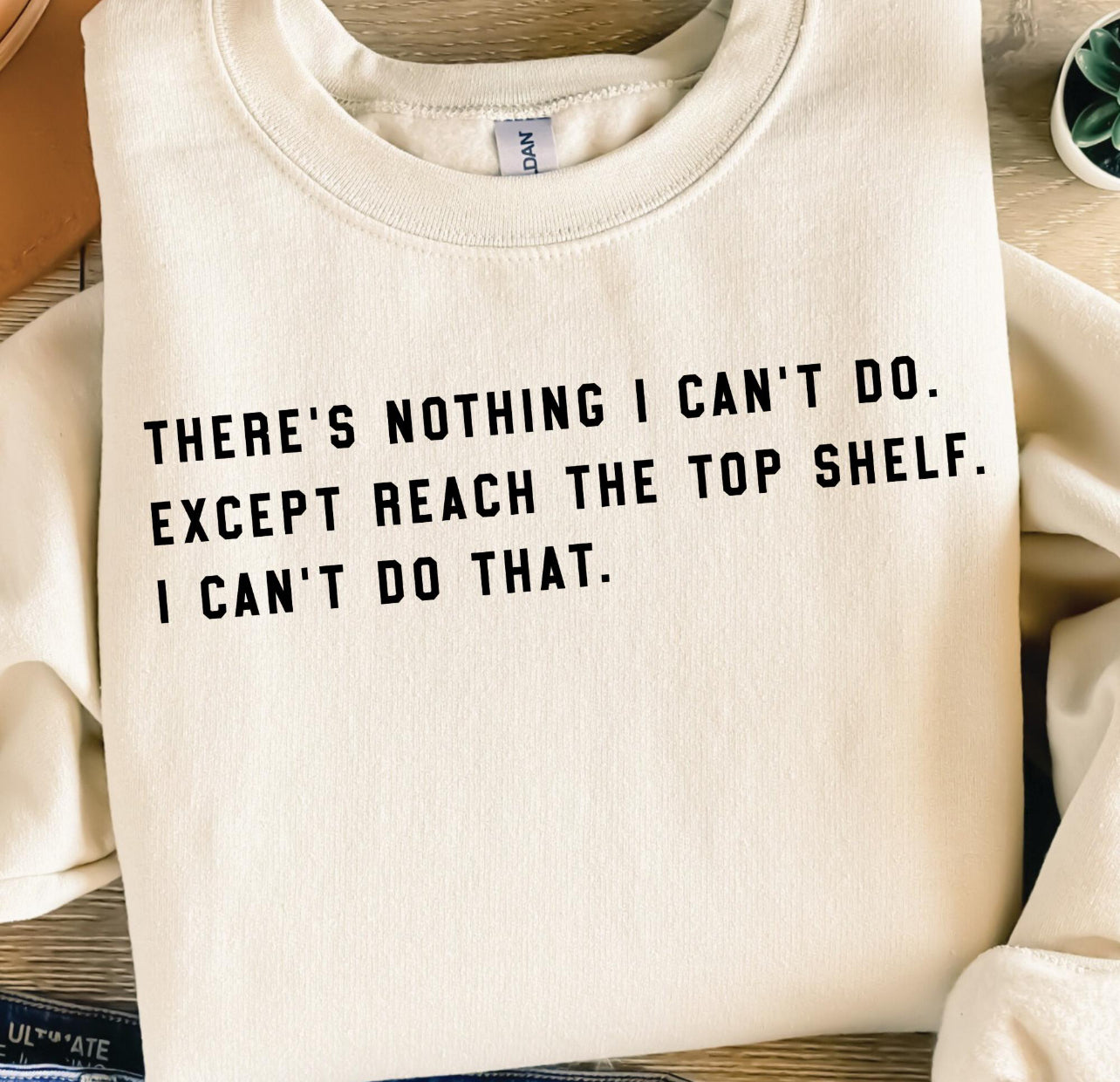 THERE IS NOTHING I CAN’T DO, EXCEPT REACH THE TOP SHELF (2 OPTIONS) - DTF TRANSFER