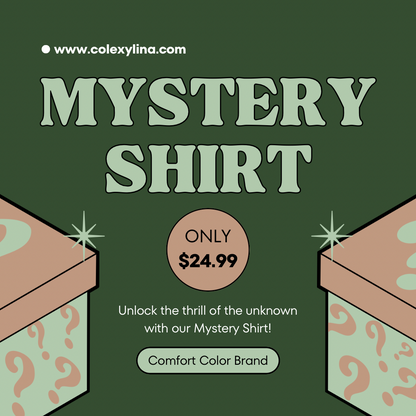 MYSTERY SHIRT - COMFORT COLORS TEE