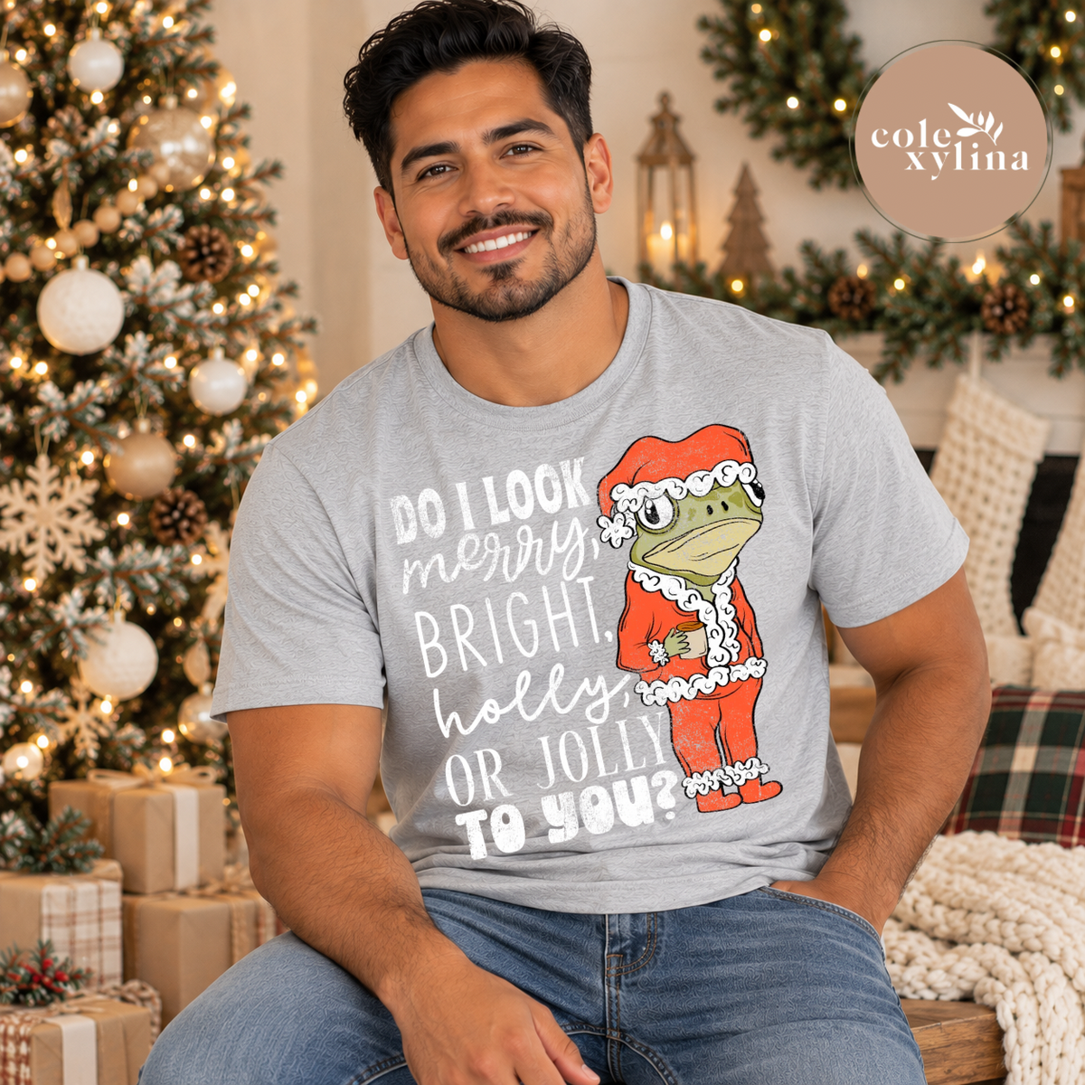 DO I LOOK MERRY, BRIGHT, HOLLY OR JOLLY TO YOU? WHITE GRUNGE - DTF TRANSFER