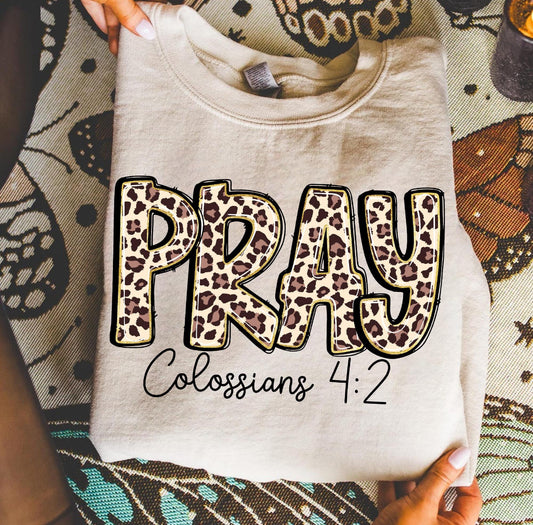 LEOPARD PRAY COLOSSIANS 4:2 - DTF TRANSFER