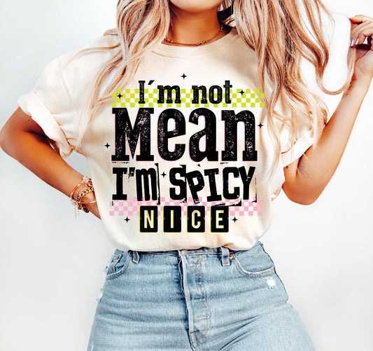I’M NOT MEAN I’M SPICY NICE - DTF TRANSFER