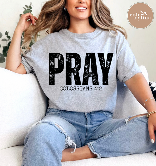 PRAY COLOSSIANS 4:2 - DTF TRANSFER