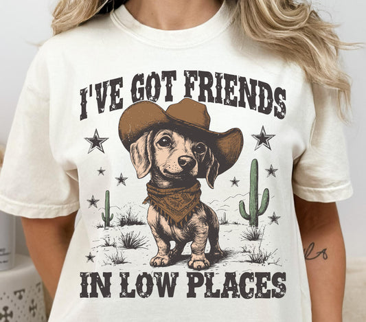 I’VE GOT FRIENDS IN LOW PLACES - DTF TRANSFER