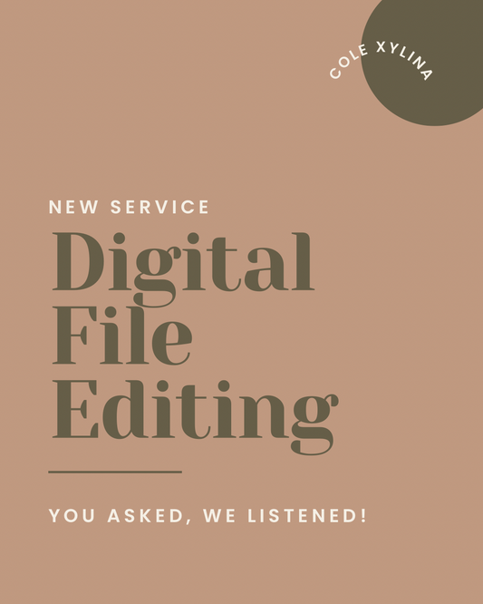 DIGITAL FILE EDITING