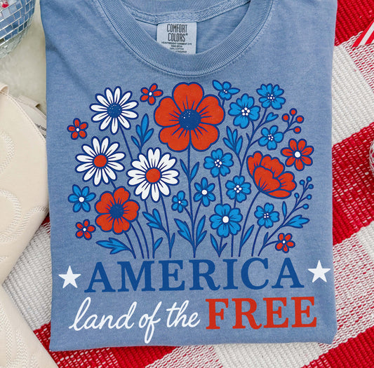 AMERICA LAND OF THE FREE (2 OPTIONS) - DTF TRANSFER